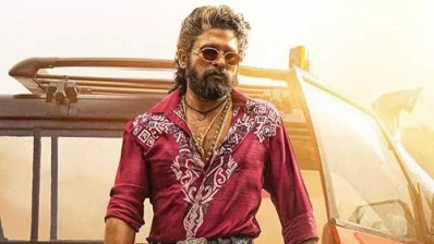 পুষ্পা আল্লু। ছবি: আইএমডিবি থেকে নেওয়া