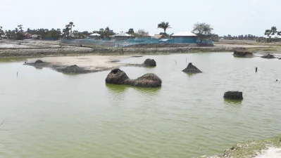 আইলার পর লবণাক্ততায় অনাবাদি হয়ে পড়েছে বিস্তীর্ণ জমি। ছবি: ইনডিপেনডেন্ট