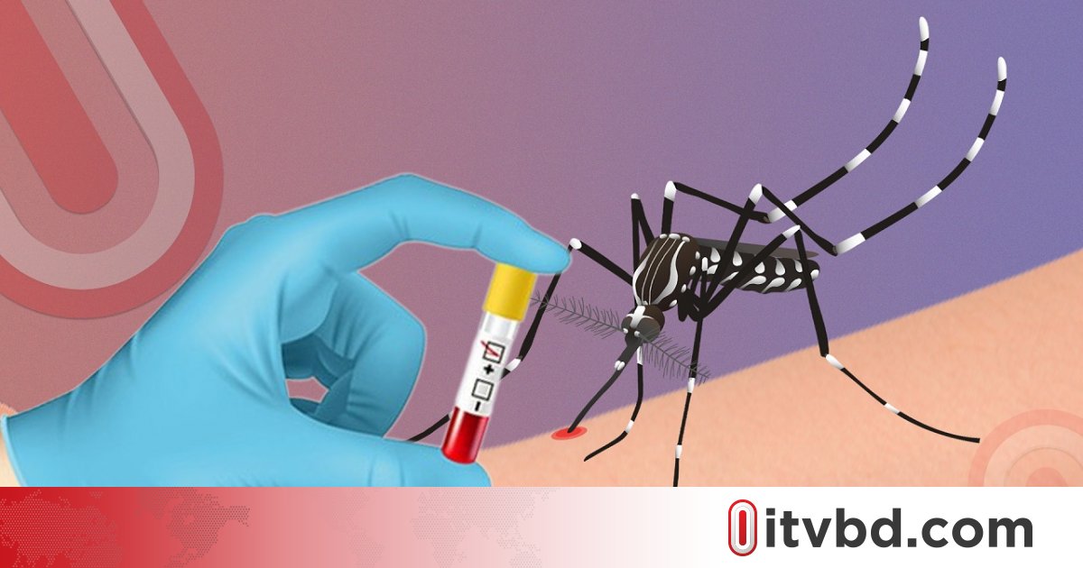 ডেঙ্গুতে আরও ৩ জনের মৃত্যু, হাসপাতালে ভর্তি ৫৮০