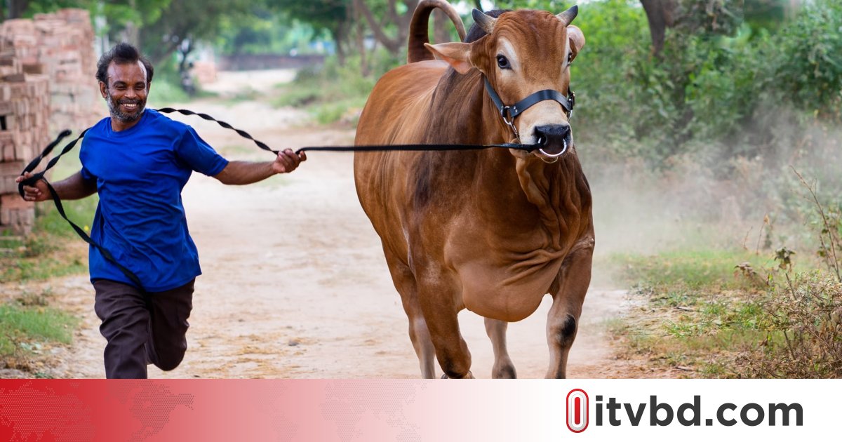 Topiqli yosh ayollar bilan jinsiy aloqa Yigitlar qizni aldab jinsiy aloqa qilishgan.