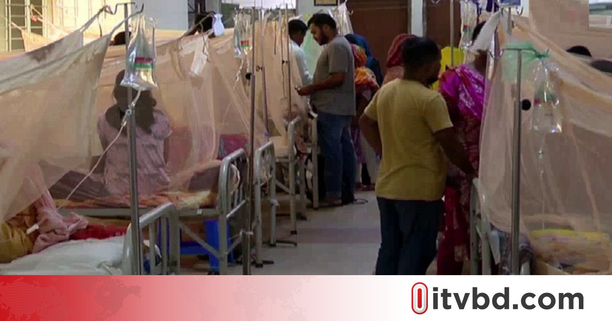 সেপ্টেম্বর-অক্টোবরে ডেঙ্গু আক্রান্ত ও মৃত্যু দুটোই বাড়তে পারে, আশঙ্কা বিশেষজ্ঞদের