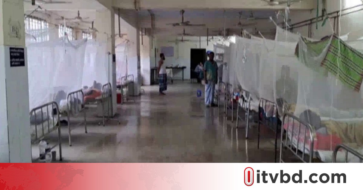 ঝালকাঠিতে প্রতিদিনই বাড়ছে ডেঙ্গুর প্রকোপ