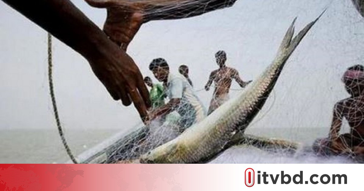 মধ্যরাত থেকে বন্ধ হচ্ছে ইলিশ ধরা