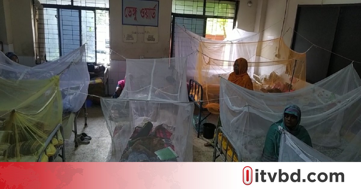 ডেঙ্গুতে আরও ৩ মৃত্যু