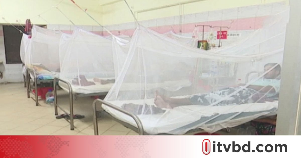 ডেঙ্গুতে একদিনে ৩ জনের মৃত্যু, হাসপাতালে ভর্তি ৫৫৬