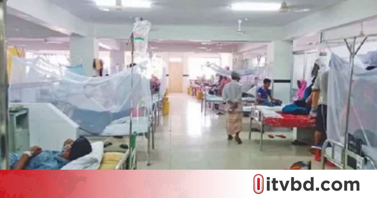 ডেঙ্গু আক্রান্তদের মিলেছে দুটি ধরনই, ঝুঁকিপূর্ণ বলছেন বিশেষজ্ঞরা