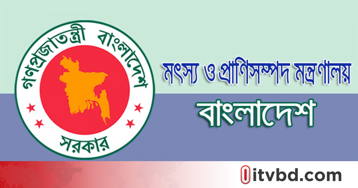 ‘বাংলাদেশ মাংস উৎপাদনে স্বয়ংসম্পূর্ণ, আমদানির খবর ভিত্তিহীন’