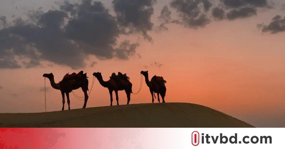 ভ্রমণপিপাসুদের জন্য কয়েকটি বিখ্যাত মরুভূমি ক্যাম্পিং স্পট