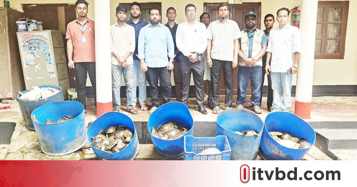 নোয়াখালীতে পাচারের জন্য রাখা ৪২৫টি কচ্ছপ উদ্ধার