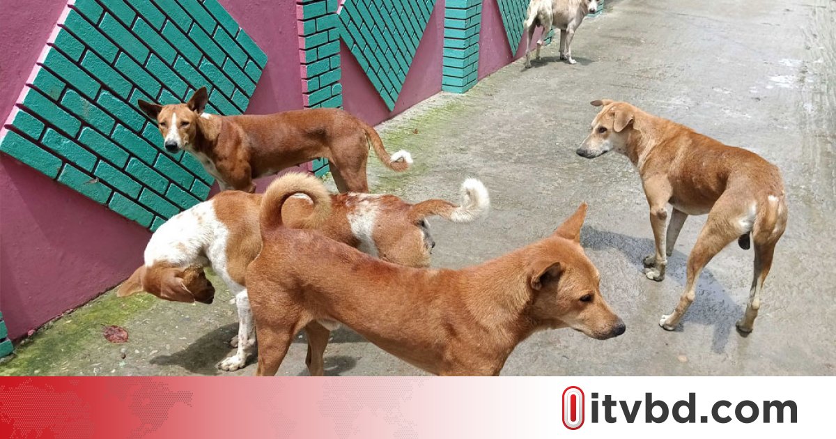 জলাতঙ্ক টিকা উৎপাদনের ল্যাবরেটরি বন্ধ, ঝুঁকিতে সাধারণ মানুষ