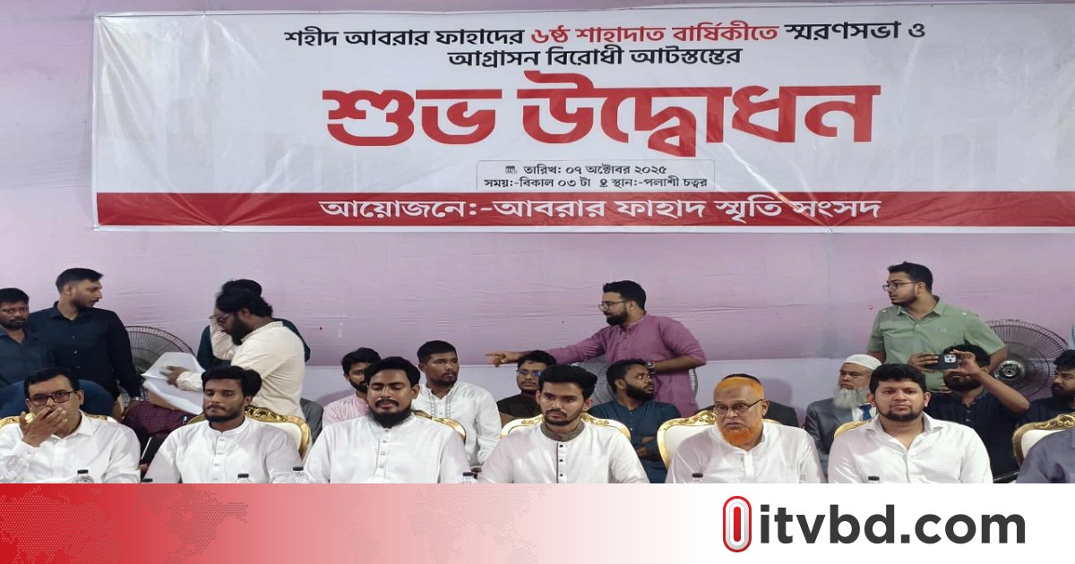আবরার ফাহাদ স্মরণে স্তম্ভের সমালোচনা, ষড়যন্ত্র দেখছেন উপদেষ্টা আসিফ