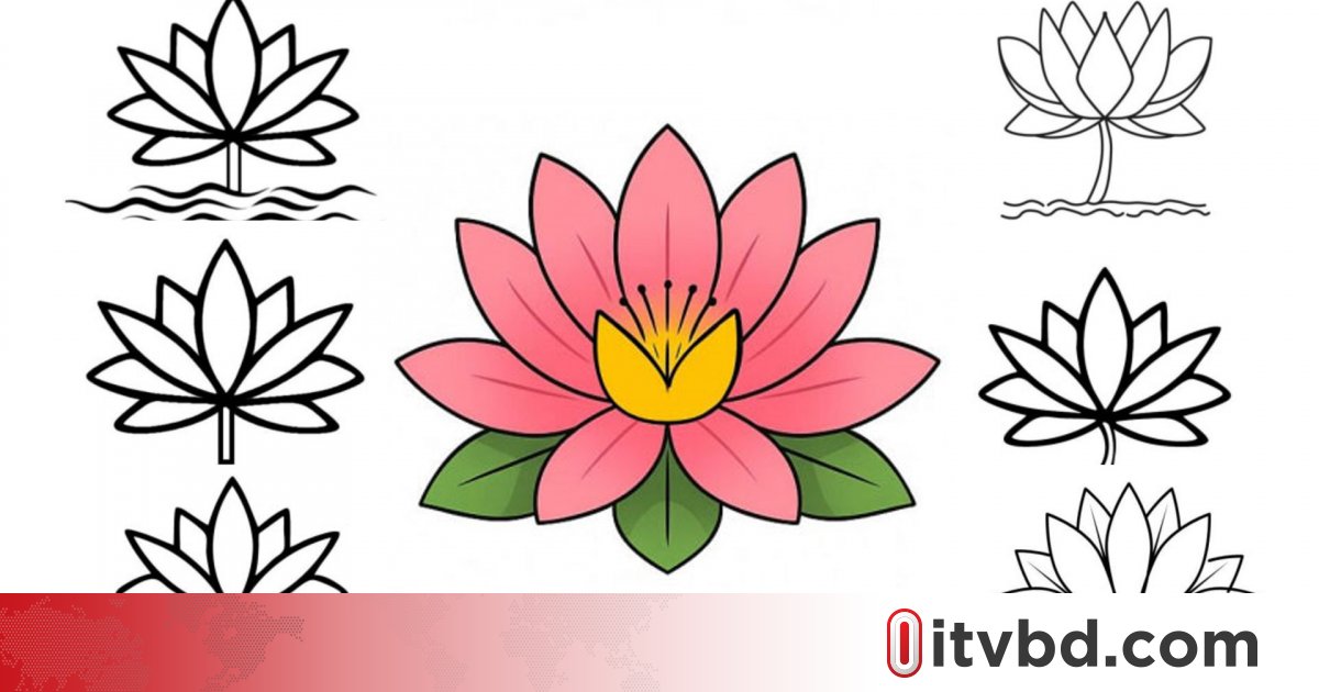 এবার শাপলা এঁকে ইসিকে চিঠি দিল এনসিপি
