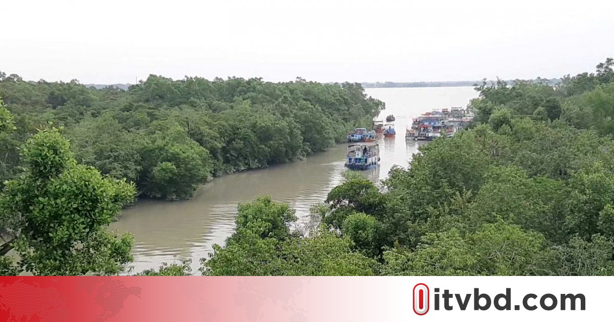 সুন্দরবনে ফের বেপরোয়া দস্যুরা