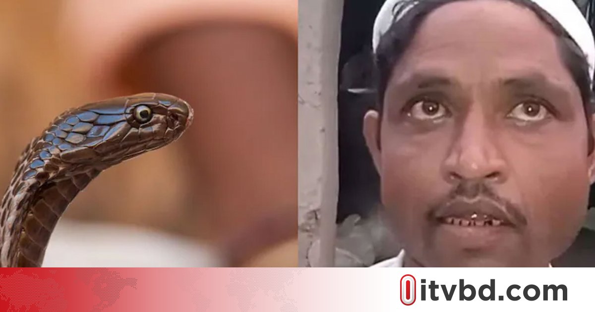 সাপ হয়ে রাতে কামড় দেন স্ত্রী, লিখিত অভিযোগে আরও যা জানালেন স্বামী