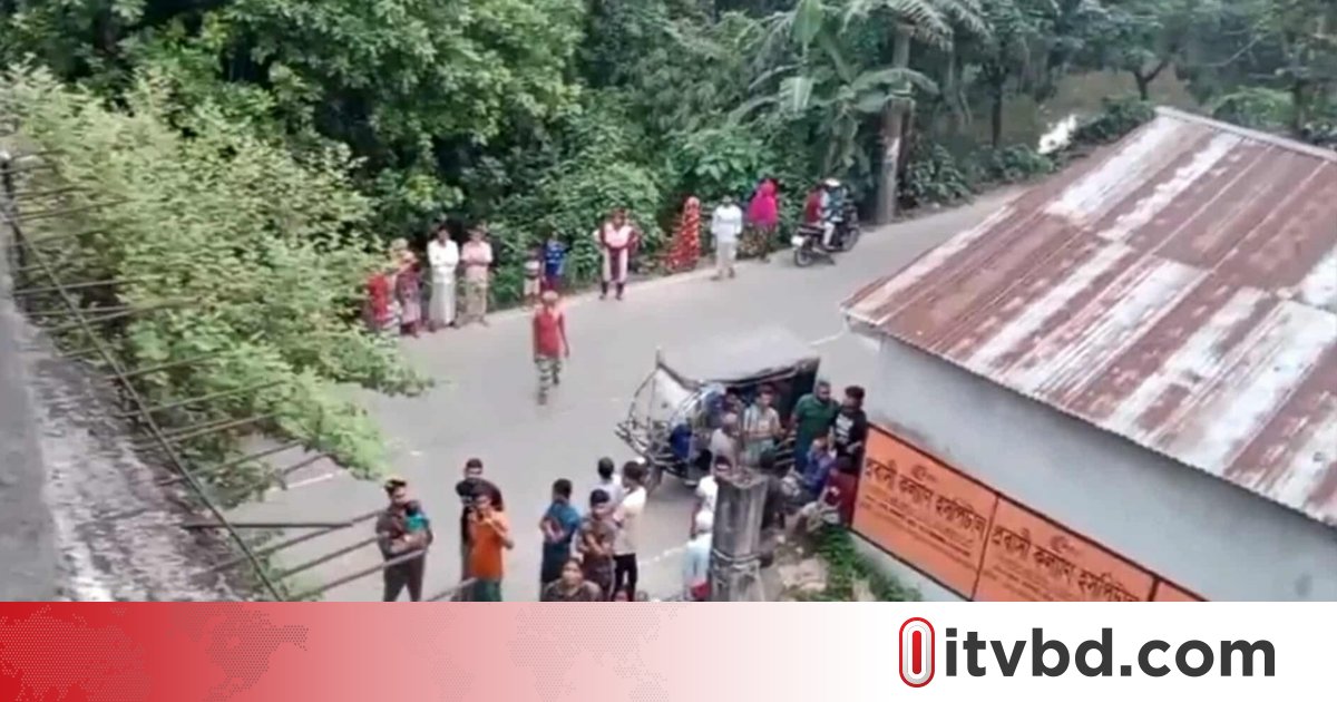নারায়ণগঞ্জে ‘টিকটক করার সময়’ বিদ্যুতায়িত মেয়ে, বাঁচাতে গিয়ে প্রাণ গেল মায়ের