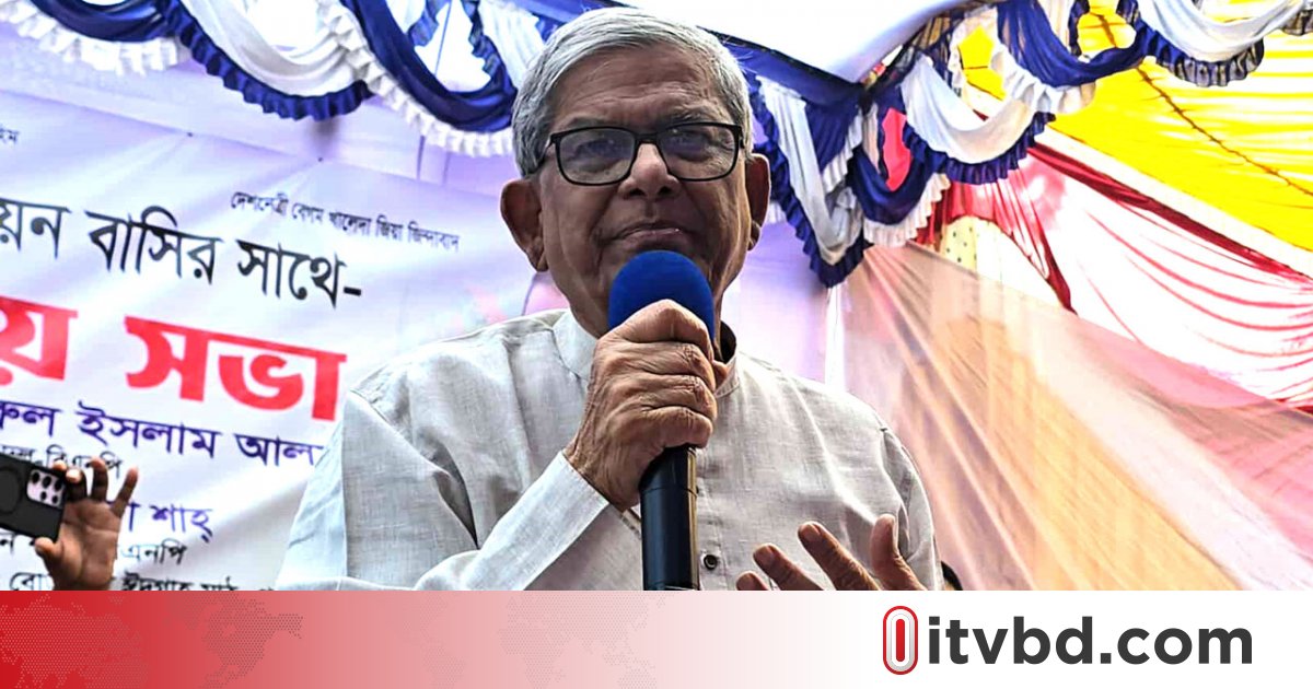 দয়া করে দেশটাকে বাঁচান, বিভাজন সৃষ্টি করবেন না: মির্জা ফখরুল