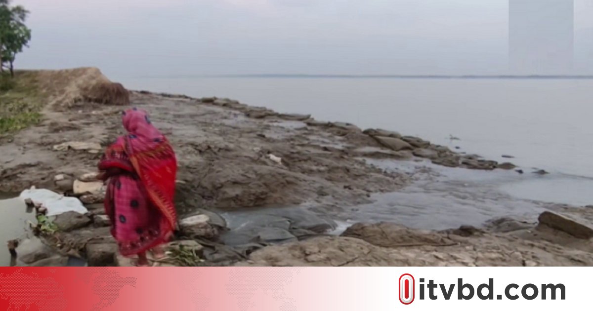 কলাপাড়ায় বন্যা নিয়ন্ত্রণ বাঁধে ভাঙন, পানি ঢুকে নষ্ট হচ্ছে ফসল-ঘরবাড়ি