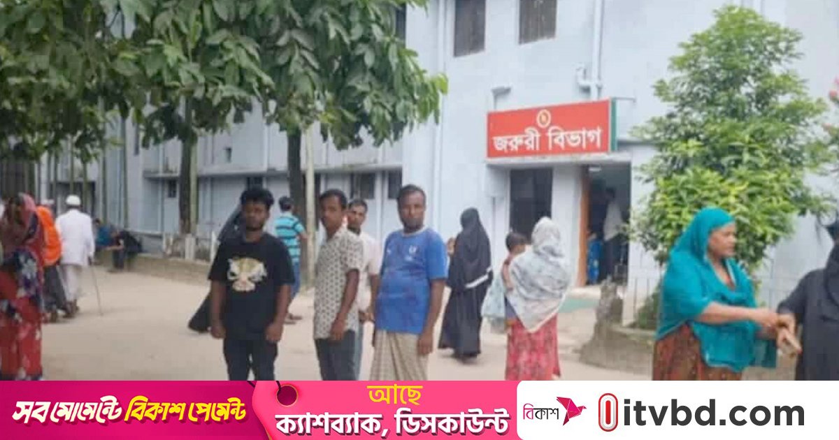 চাঁদপুরে সাপের ছোবলে গৃহবধূর মৃত্যু