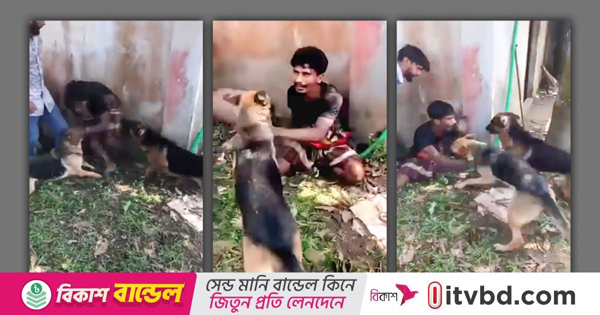 চুরির অভিযোগে কুকুর লেলিয়ে নির্যাতন, গ্রেপ্তার ৩