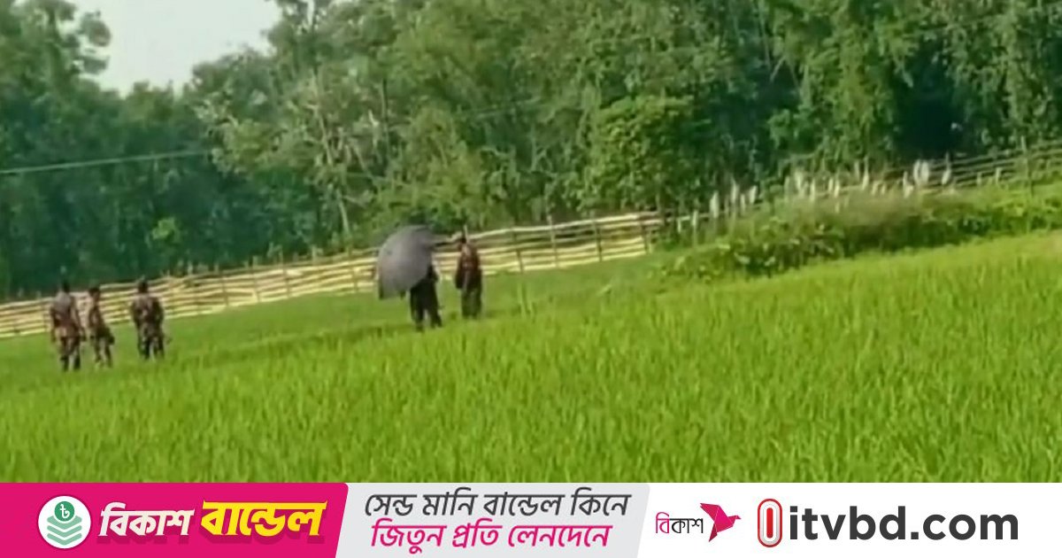বিরামপুর সীমান্তে ভারতীয় কৃষকদের বেড়া, বিজিবির প্রতিবাদ