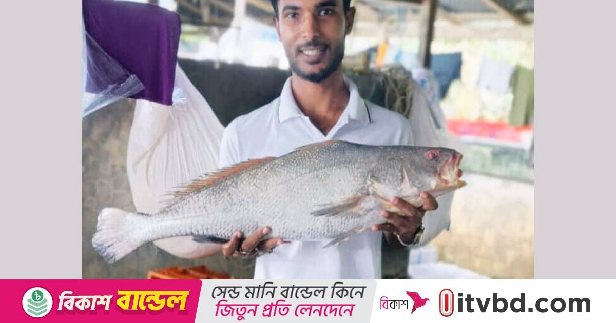 বঙ্গোপসাগরের এক পোয়া মাছের দাম ৮০ হাজার টাকা