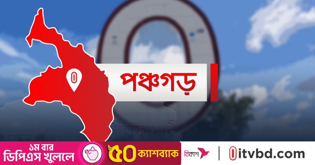 পঞ্চগড় সীমান্তে বাংলাদেশি কিশোরকে ধরে নিয়ে গেছে বিএসএফ