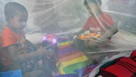 ডেঙ্গুতে একদিনে রেকর্ড ৯ মৃত্যু