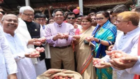 সবার স্বার্থ ভেবে পেঁয়াজ আমদানির সিদ্ধান্ত নেয়া হবে: কৃষিমন্ত্রী