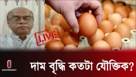 ডিমের দাম কমাতে প্রাণিসম্পদ অধিদপ্তর কী করছে?