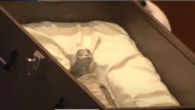 মেক্সিকোতে এলিয়েনের মমি পাওয়ার দাবি