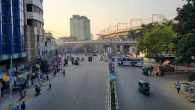 হরতালে মানুষের অ্যালার্জি কতটা