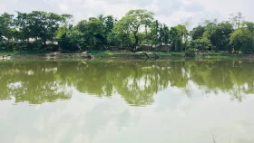 অলীক