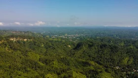 এনজিও থেকে সশস্ত্র গোষ্ঠী কেএনএফ