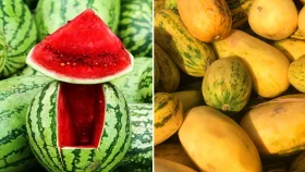তরমুজ নাকি বাঙ্গি, বেশি খাবেন কোনটি?