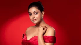 নির্বাচনের ফলাফল বাতিল চাওয়ার কারণ জানালেন নিপুণ