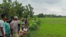 কুমিল্লা সীমান্তে বিএসএফের গুলিতে বাংলাদেশি নিহত