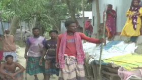 রাসেলস ভাইপার আতঙ্কে &lsquo;ঘরবন্দি&rsquo; ফরিদপুরের চরাঞ্চলের মানুষ