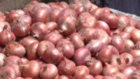 বাজার সহনীয় রাখতে পেঁয়াজ আমদানির অনুমতি
