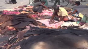 আড়তে কাঁচা চামড়ার সরকারি দাম &lsquo;মিলছে না&rsquo;