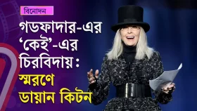 তিনি ছিলেন, আছেন, থাকবেন- এক অনন্যা ডায়ান কিটন