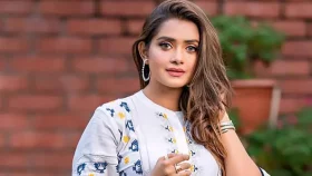 &lsquo;তিশা ভারতীয় অ্যাম্বাসিতে গিয়ে পাসপোর্ট জমা দেননি, চলে যান আমেরিকা&rsquo;