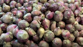 ভারত থেকে আমদানির খবরে দাম কমছে পেঁয়াজের