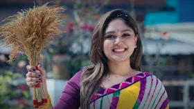 নির্বাচনী থিম সং প্রকাশ করল বিএনপি