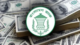 প্রবাসীদের জন্য &lsquo;বিশেষ অ্যাকাউন্ট&rsquo; চালু করল বাংলাদেশ ব্যাংক