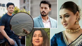 কুমিরের পানিতে জীবন্ত কুকুরকে ফেলা, ক্ষুব্ধ তারকারা যা বললেন