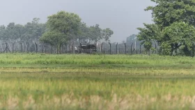 পুশইনের চেষ্টার পর ৪ দিন শূন্য রেখায় রাখা ১২ জনকে ফিরিয়ে নিল বিএসএফ