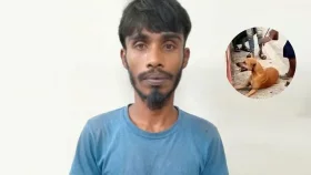অভিযুক্তকে কান ধরে উঠবসের পর পুলিশে দিলেন ছাত্রদল নেতা&nbsp;