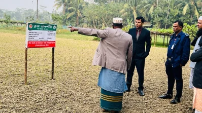 শরীয়তপুরের ডামুড্যায় গমখেতে বিষ প্রয়োগ করায় ১২টি পাখির মৃত্যু হয়েছে। ছবি: ইনডিপেনডেন্ট 