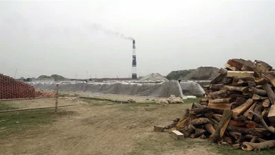 Wood is being used in brick kilns instead of coal.  Photo: The Independent 