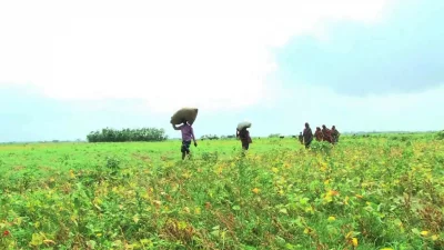 মেঘার অন্তত ২০টি চরে দস্যুদলের হামলা, লুটপাটের ঘটনায় নিঃস্ব হয়ে যাচ্ছে এসব এলাকার নিম্ন আয়ের মানুষ। ছবি: ইনডিপেনডেন্ট টেলিভিশন